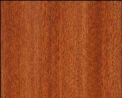 Caoba