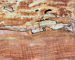 Arce Spalted